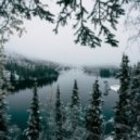 Denis Neve - Cold
