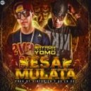 Bayron Ft. Yomo - Esa Mulata