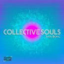 Sava Boric - High Pleasure (Original Mix)