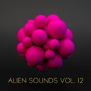 Solar Flux - Size (Original Mix)
