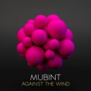 Mubint - Meeting The Dawn (Original Mix)