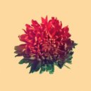 Tom Misch - Twinkle Twinkle (Original Mix)