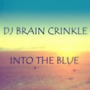 Dj Brain Crinkle - Into The Blue