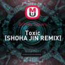 Britney Spears - Toxic (SHOHA JIN REMIX)
