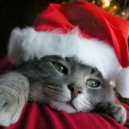 Run DMC - Christmas in Hollis (Digital Visions Re-Edit)