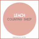 Leach - To Catch A Cloud