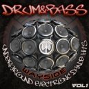 B4sstee - Echolocation