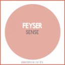 Feyser - Contain A Sense