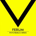 Ferum - Night Ghost (Original Mix)