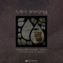 Mini linKing - Held