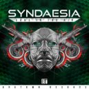 Syndaesia - Guns In The Air