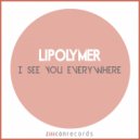 Li-Polymer, Grigory Melikhov - I See You Everywhere