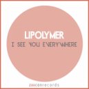Li-Polymer - Future Flash (Original Mix)