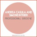 Andrea Casula, Simone Intrieri - Professional Groove