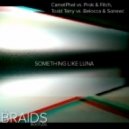 CamelPhat vs. Prok & Fitch, Todd Terry vs. Belocca & Soneec - Something like luna (The Braids Bootleg)