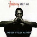Haddaway vs. Dr. Kucho! vs Gregor Salto vs Lucas & Steve - What is love (Andrey Kiselev Mashup)
