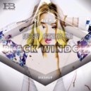 Iggy Azalea ft. Justin Prime, Rudeejay & Andry J, Street Housers - Black Widow (DJ Alex K Mush -Up 2015)