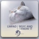 LMFAO - Sexy And I Know It