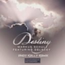 Markus Schulz feat. Delacey - Destiny