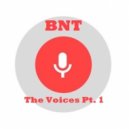 BNT - The Voices Pt.1