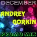 DJ Andrey Gorkin - December Promo Mix 2015
