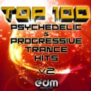 Hypnoise, Rishi - Psychedelic Tools (Rishi Remix)