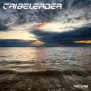 Tribeleader - Nature (Original Mix)