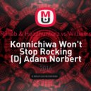 R3hab & Headhunterz vs Williams - Konnichiwa Won\'t Stop Rocking (Dj Adam Norbert Mash up)