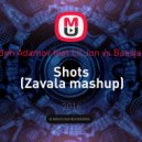 LMFAO & Vadim Adamov feat Lil Jon vs Bassjackers & Reez - Shots