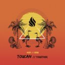 Toucan - Thousand Grooves (Original Mix)