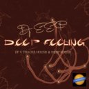 DJ EEF, Deep House Nation - Electro Bass Sound