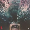 Torro Torro - Make A Move (Skrillex Remix)