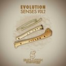 David Sainz - Airplane (Original mix)