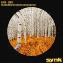 Albin - Sense (Hauy Remix)