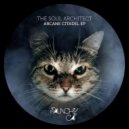 The Soul Architect - Almost Lost (Original mix)