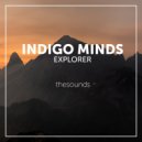 Indigo Minds - Heliport