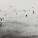 Pablo Moriego - Distress
