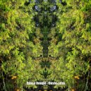 Space Boogie - Dusha Lesa
