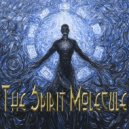 The Spirit Molecule - Snaylic (Original Mix)