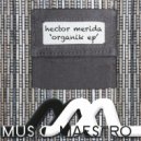 Hector Merida - Architect of Sound (Original Mix)