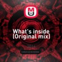 Dj Bourbon - What's inside