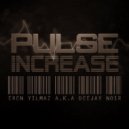Eren Yılmaz a.k.a Deejay Noir - Pulse Increase