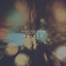 Kaixen - What You Want