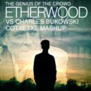 Etherwood vs. Charles Bukowski - The Genius Of The Crowd (Cotxetxe Mashup)