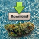 710 - Party on the Water ()
