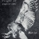 Mario - Flight of eagle-owl (Original Mix)