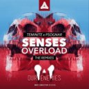 Teminite & PsoGnar - Senses Overload