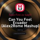 Sean Finn vs Sash! - Can You Feel Ecuador