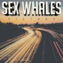 Sex Whales - Victory (Original mix)