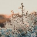 Finding Hope & Jonan - Happen To You (Original Mix)